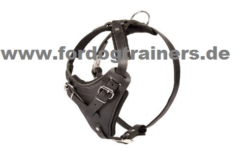 Agitation Leather Dog Harness for Black Russian Terrier